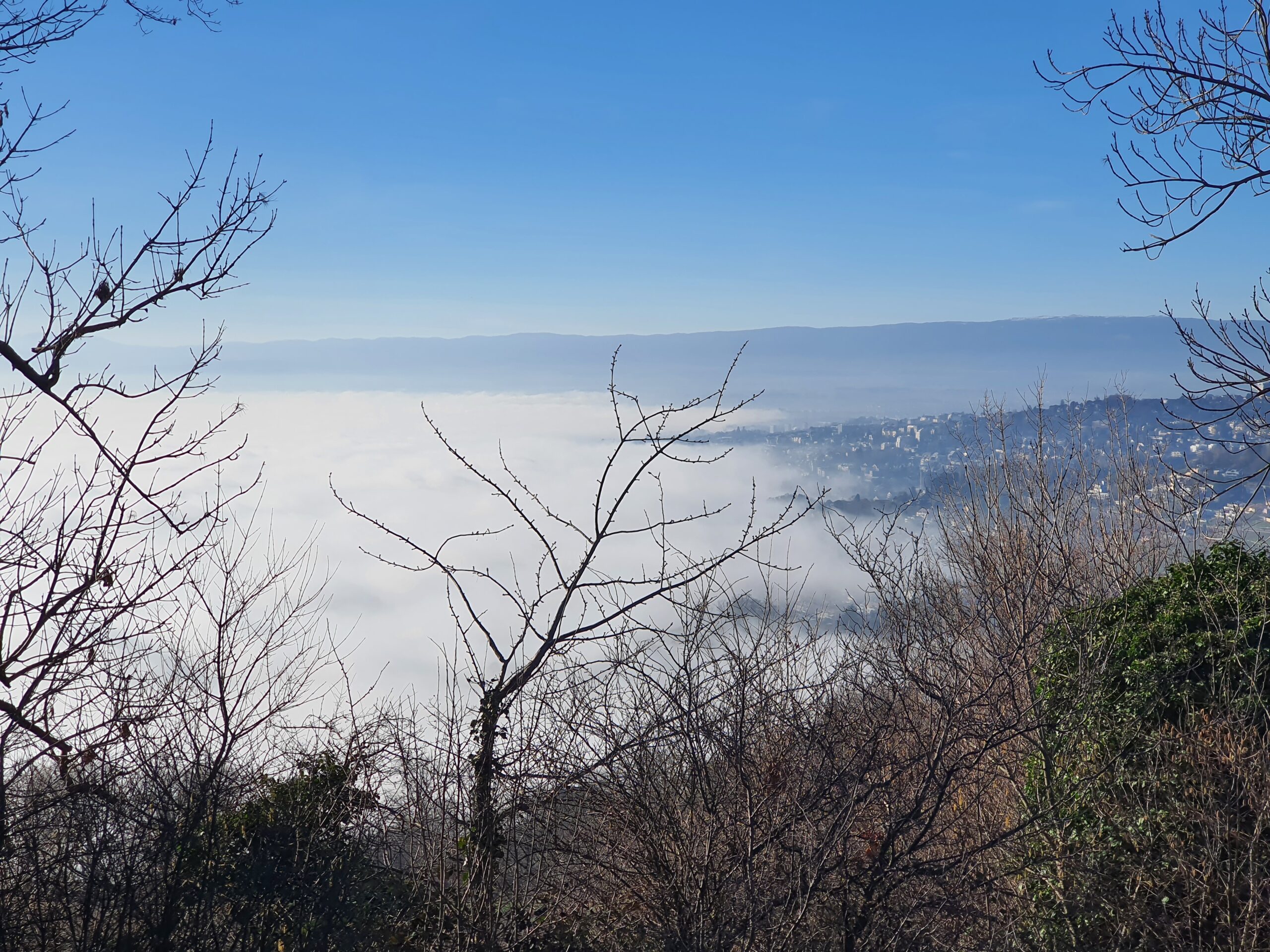 La brume sur Lausanne