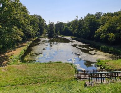 Le canal de la Sauldre